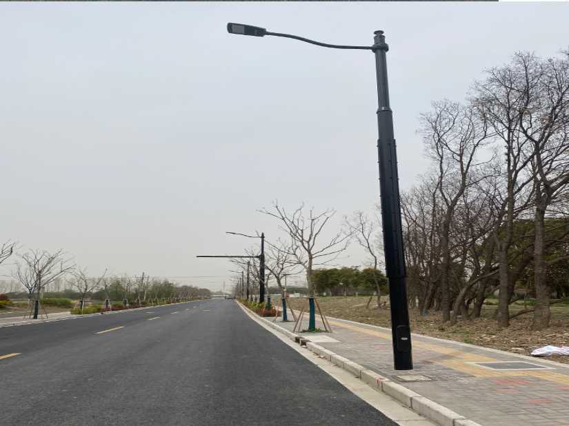 掇刀区上海综合杆 太阳能路灯工程